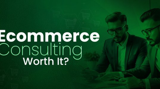 ecommerce consulting